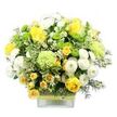 Fresh Flowers with Next Day Delivery